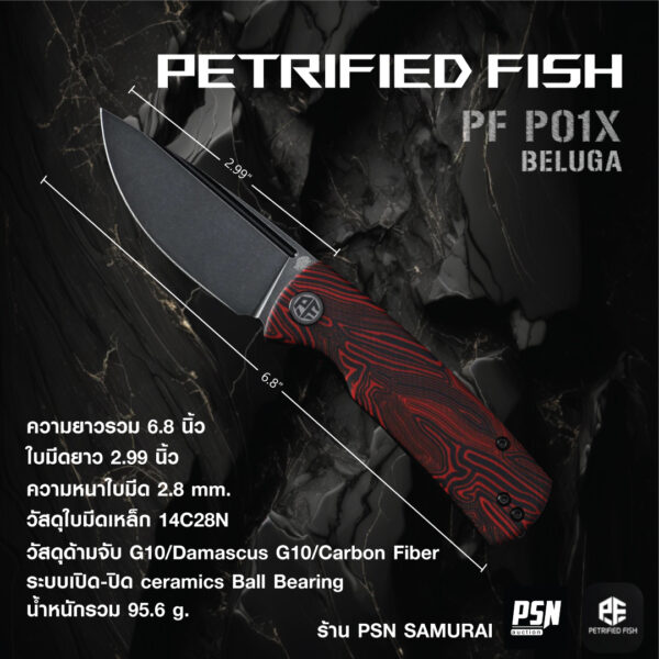 PETRIFIED FISH PF P01X BELUGA
